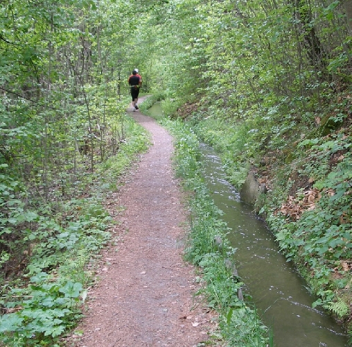 Entlang dem Schnalstal-Waalweg gings wieder retour ins Tal