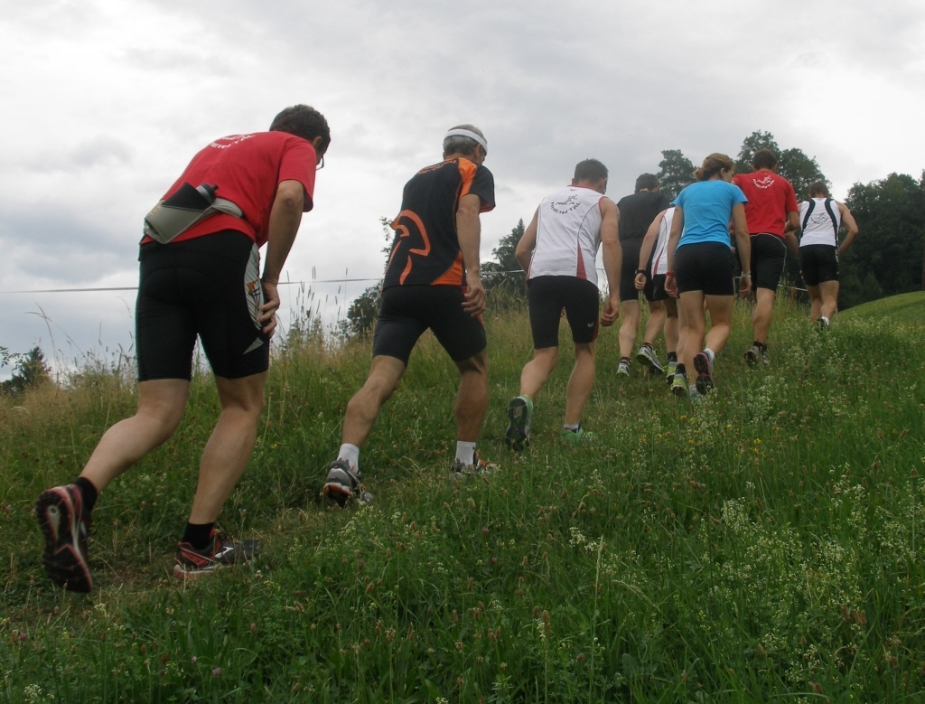 Aufstieg durch herrliche Blumenwiesen