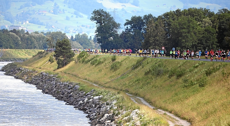 Das Feld auf dem Rheindamm