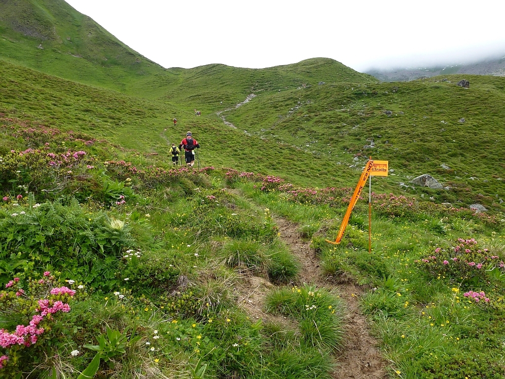 Trail durch die Alpenrosen