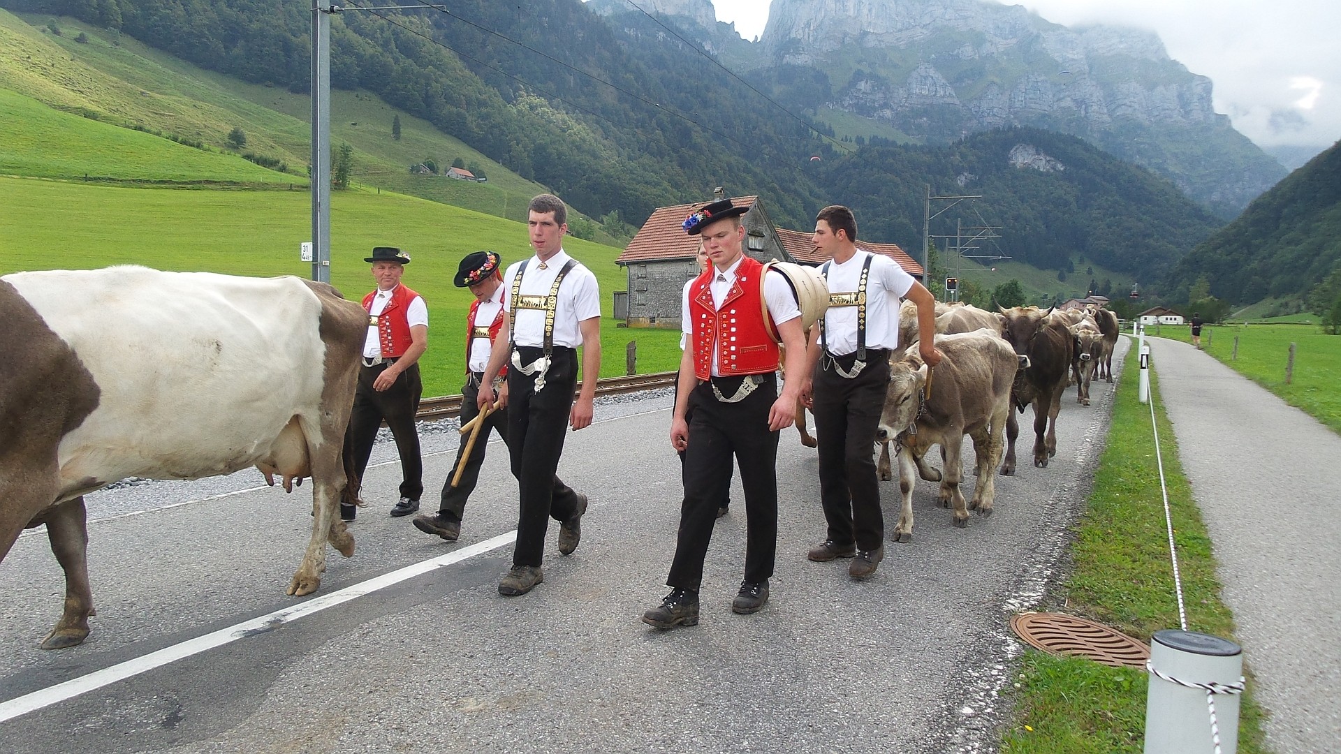 Folklore und Brauchtum: Alpabzug auf der Strasse Wasserauen Richtung Weissbad