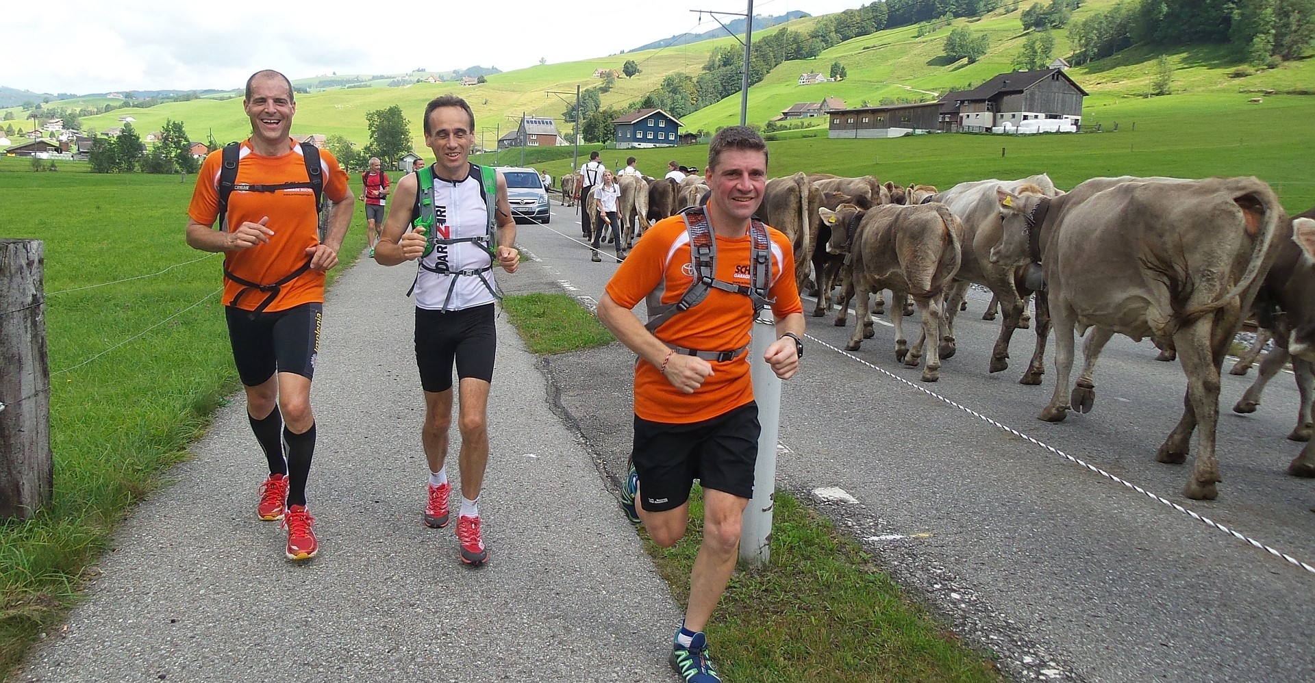 Kein Problem für die Säntisläufer auf dem Fussweg