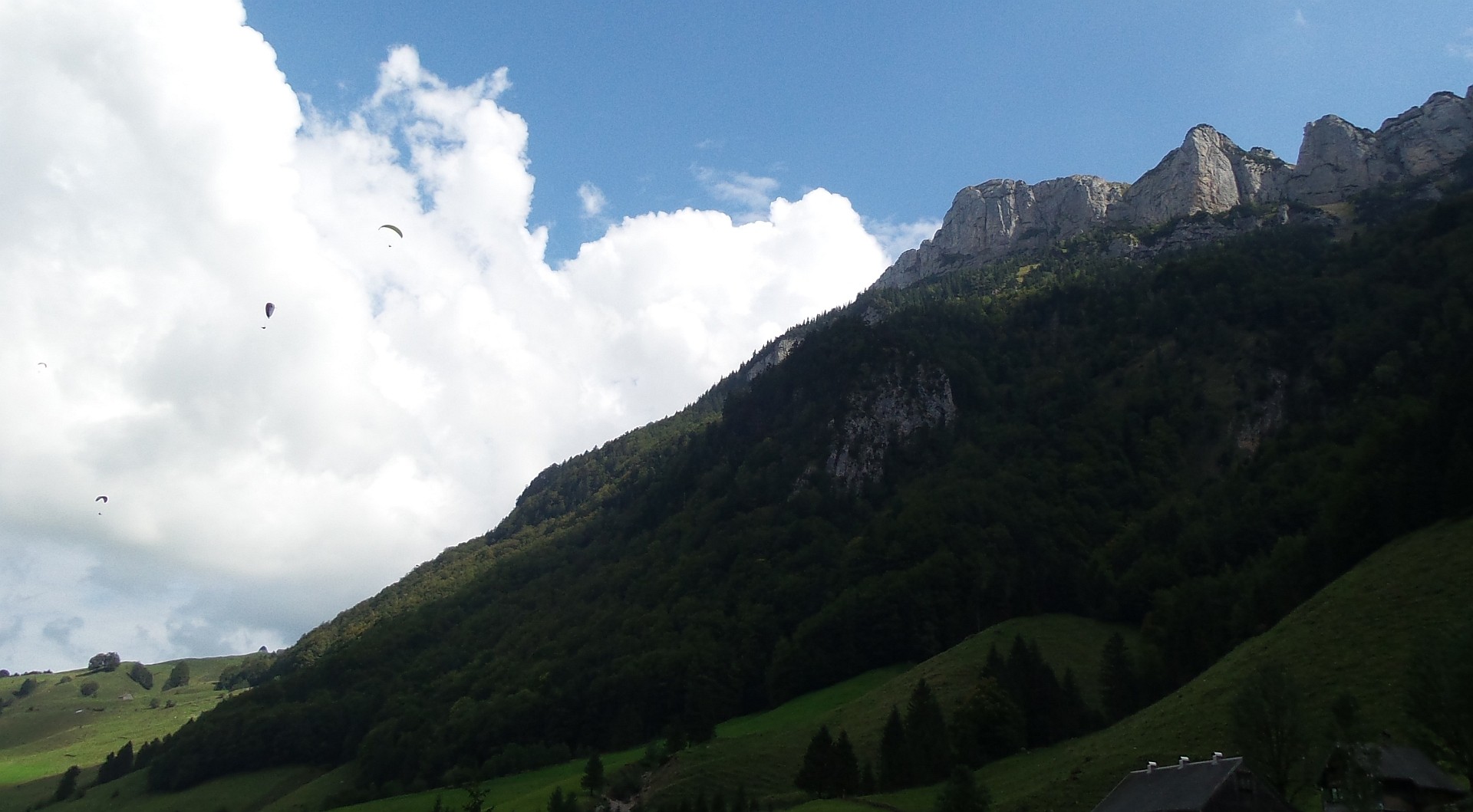 Am Himmel zahlreiche Hängegleiter