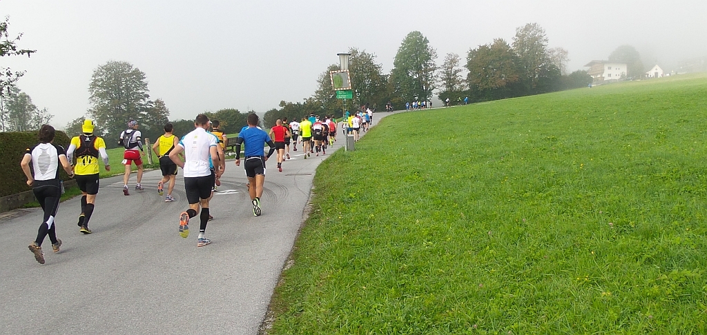 Am Morgen war es jeweils noch Nebelfeucht.