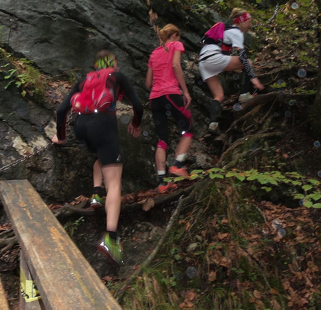 Sogar leichte Kletterfähigkeiten waren gefragt.