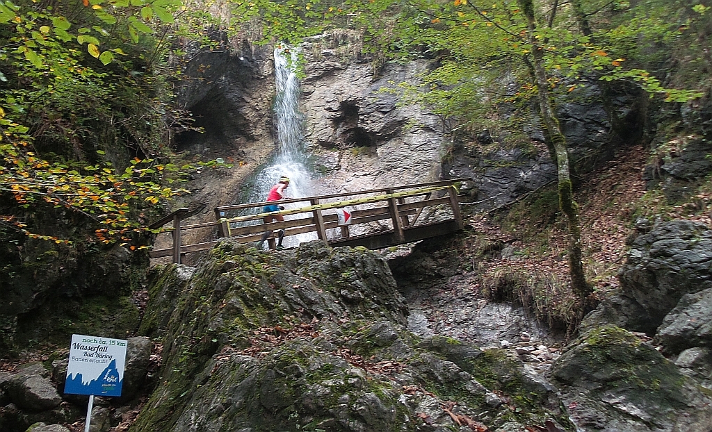 Natur pur, typisch Trail