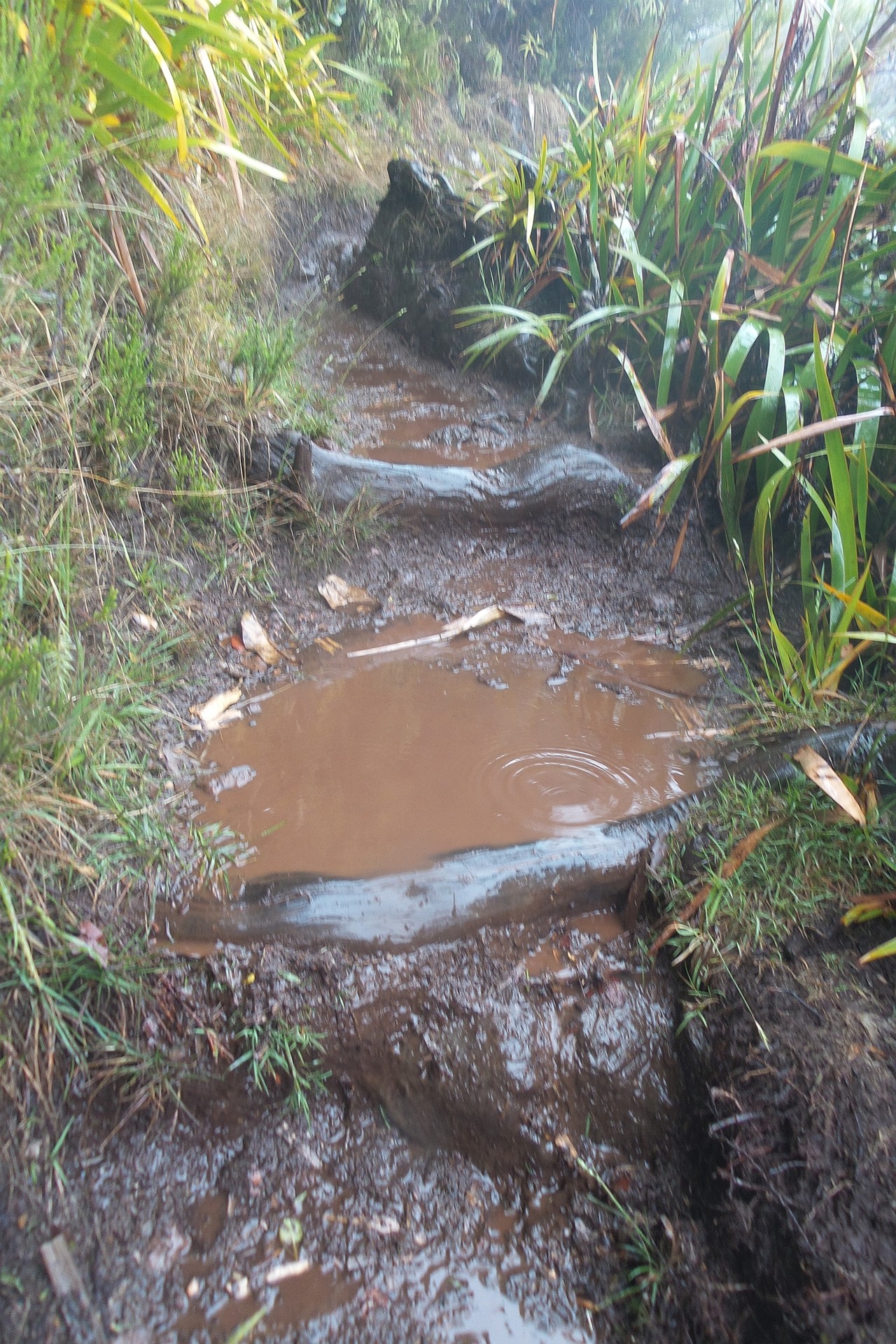 Der Regen machte einzelne Streckenabschnitte fast unpassierbar