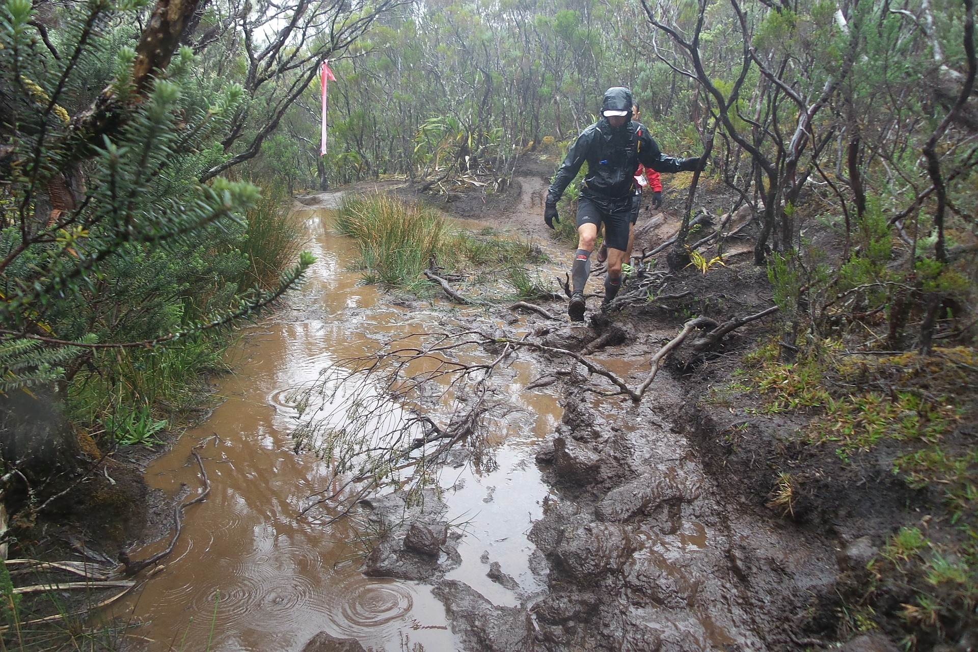 … ausweichen bringt nicht viel und oft unmöglich!