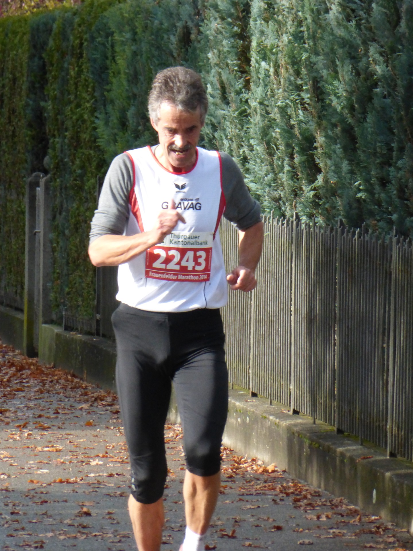 Rolf wie man ihn kennt