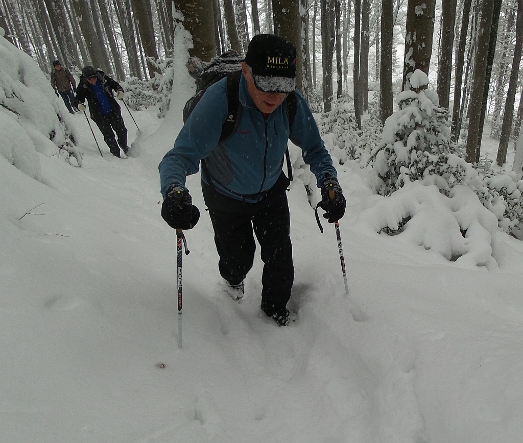 Sepp im tiefverschneiten Wald