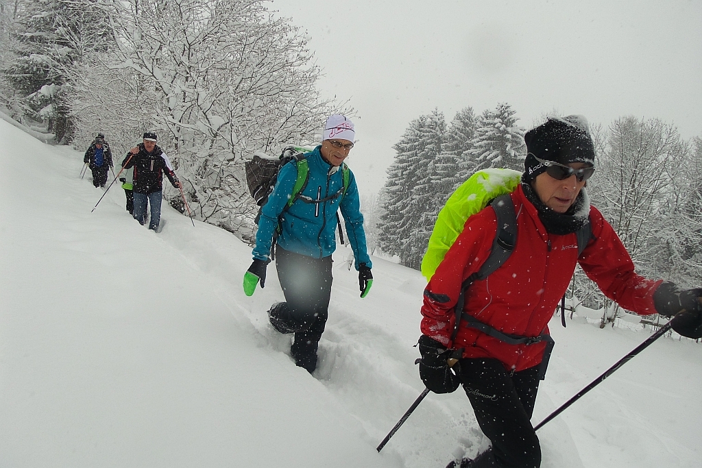 Quetraverse oberhalb Birkenfeld
