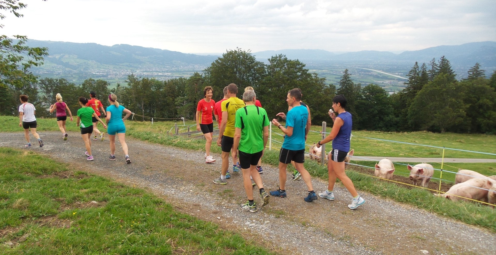 Blicke an den tierischen Wegrand und ins schöne Rheintal