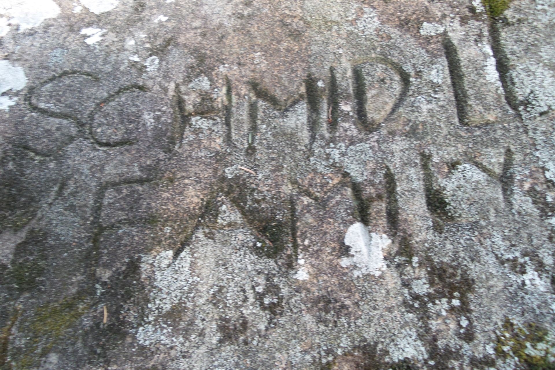 Ob es Fredy’s Vorfahren waren, die sich da im Sandstein verewigt haben