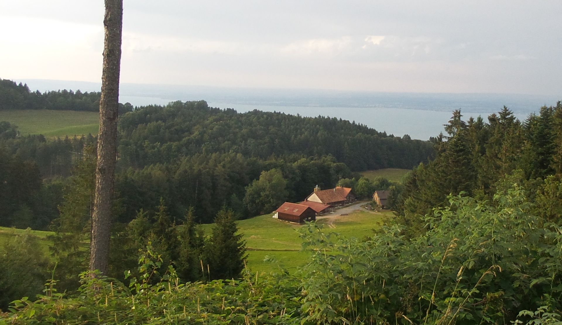 …. auch hinunter zum Bodensee