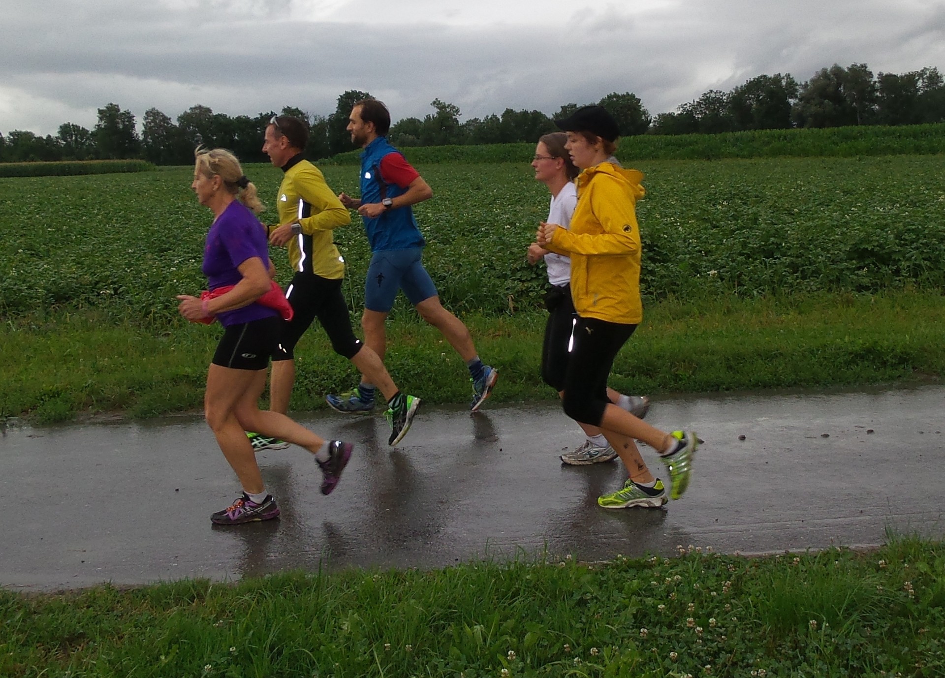 auf dem letzten Kilometer durch die Gemüsekulturen im Schmitter