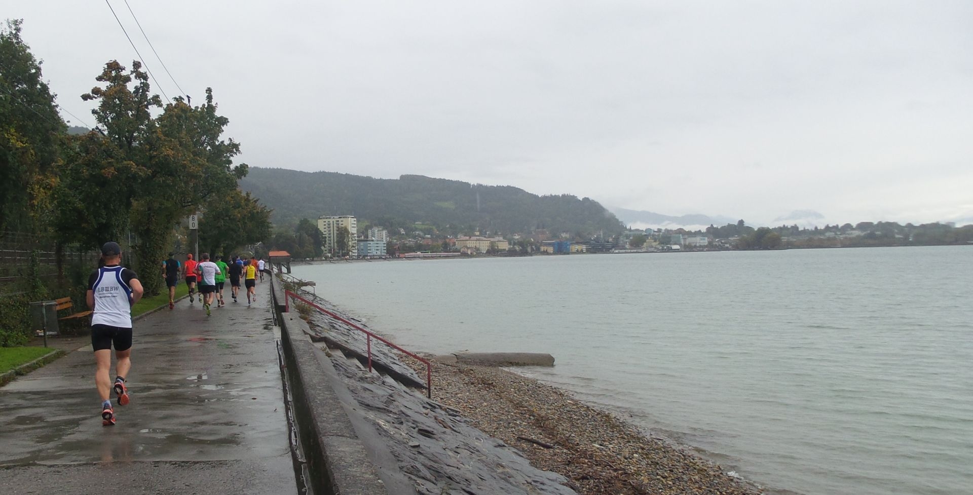 Dem Bodensee entlang Richtung Bregenz