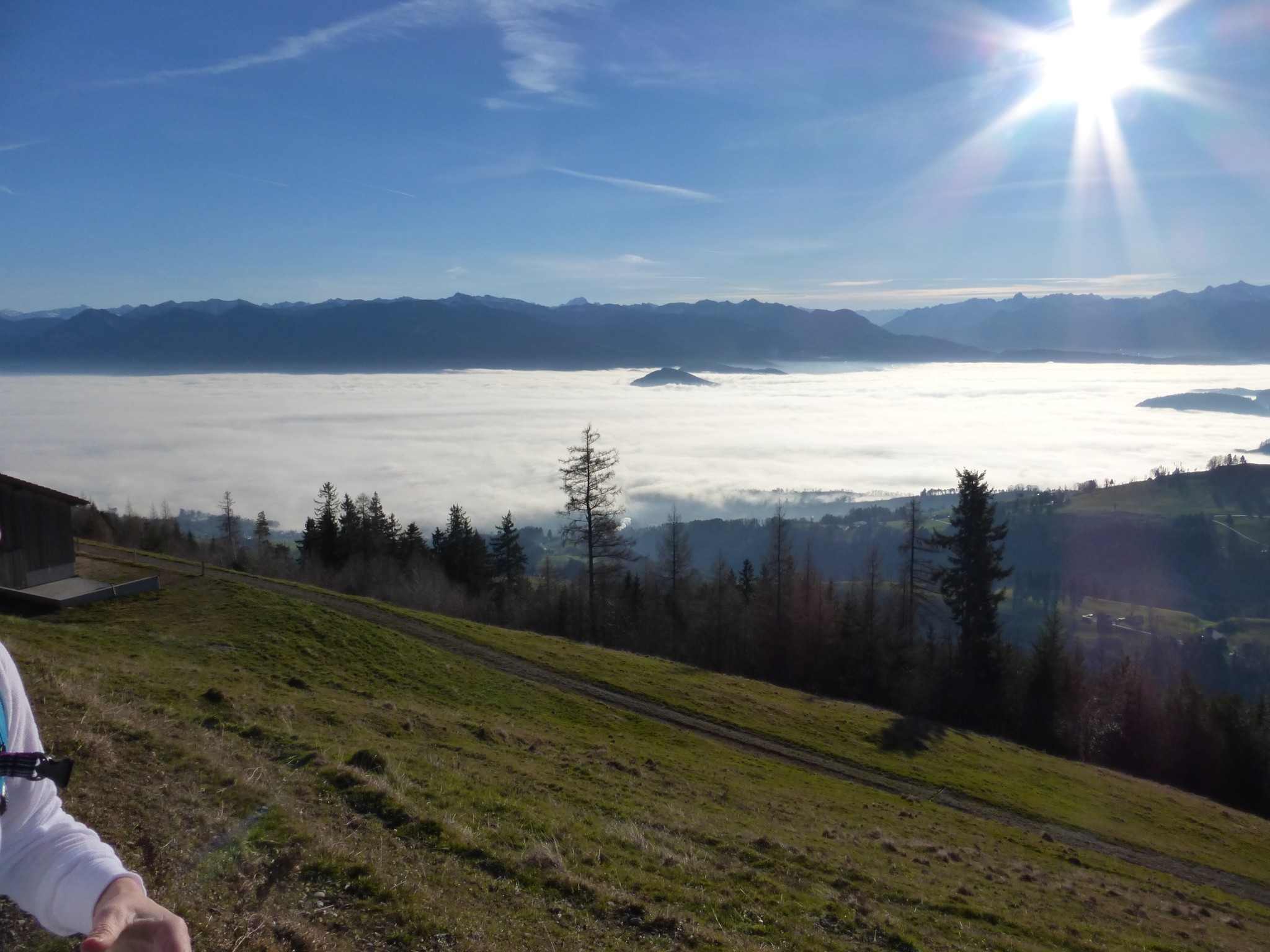 Nebelmeer im Rheintal