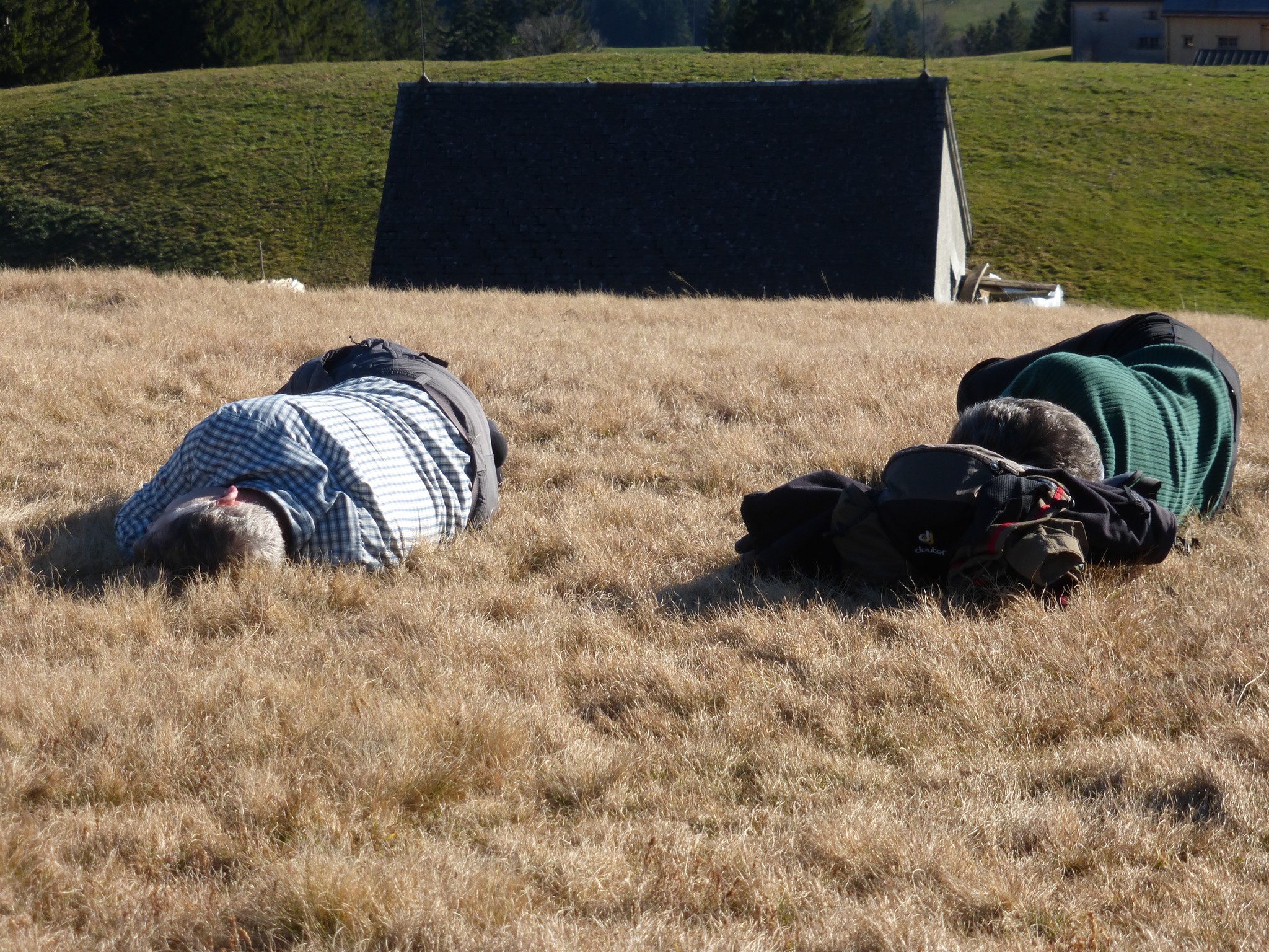 Mittagsschlaf an der Sonne