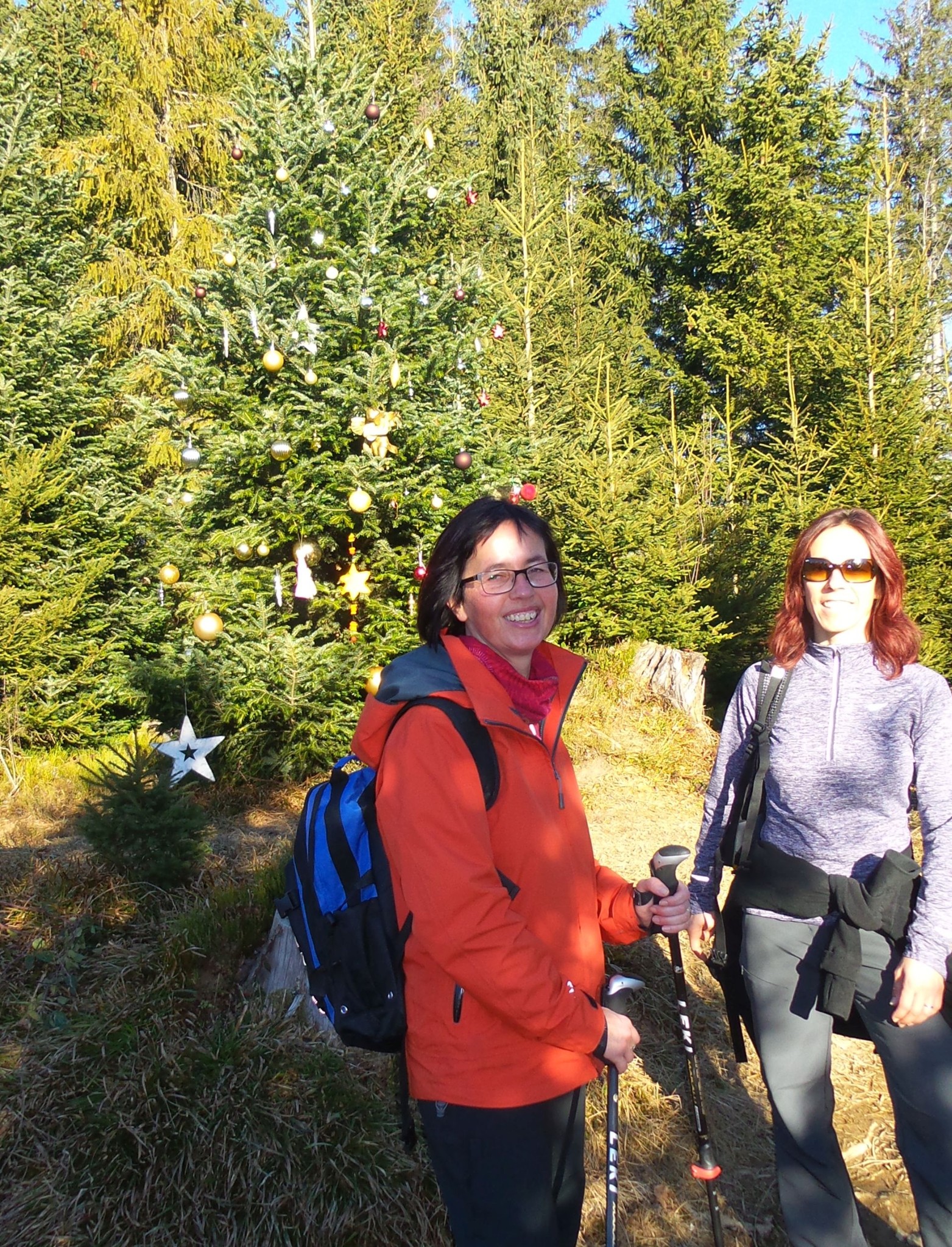 Corinne und Sandra beim Weihnachtsbaum