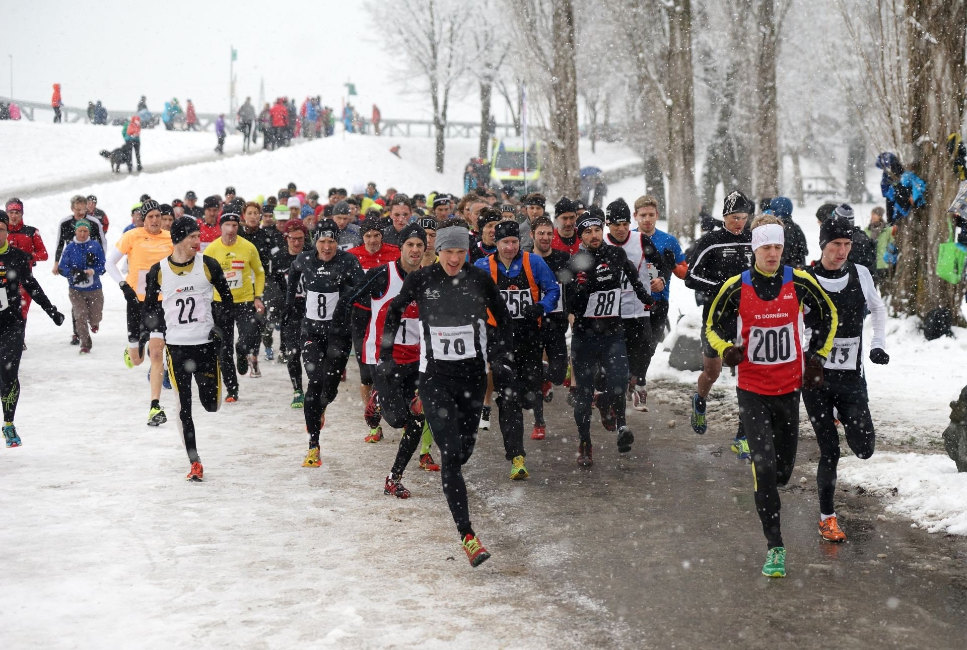 0_NEWS482_1455867794_LustenauerCrosslauf4terLauf2016_0090Z