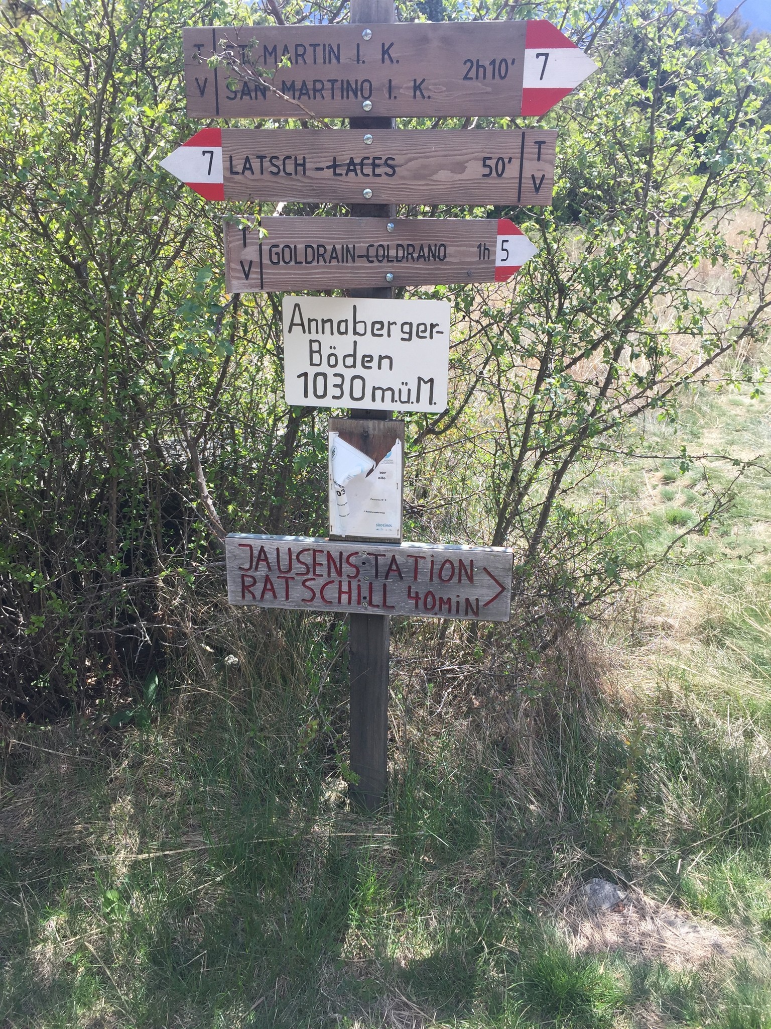 Bereits auf über 1000 m über Meer