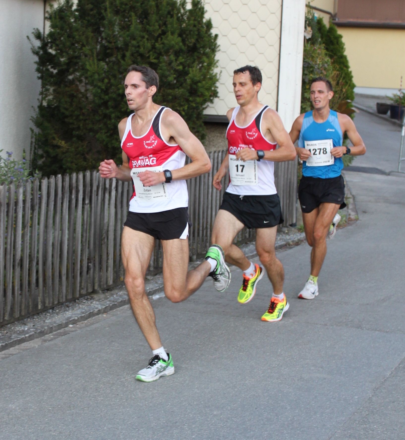 Zoltan verfolgt von Isi