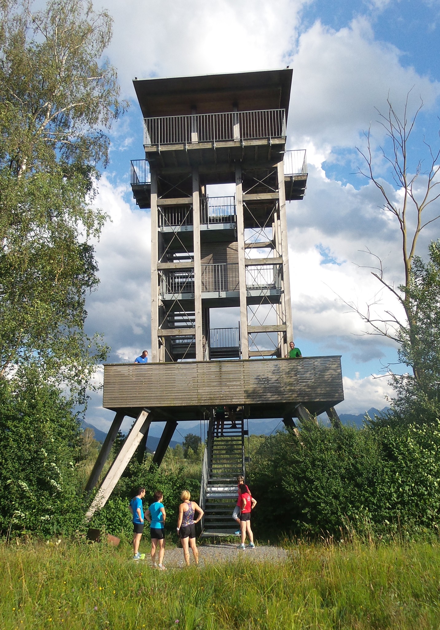 Der Beobachtungsturm im Schollenriet