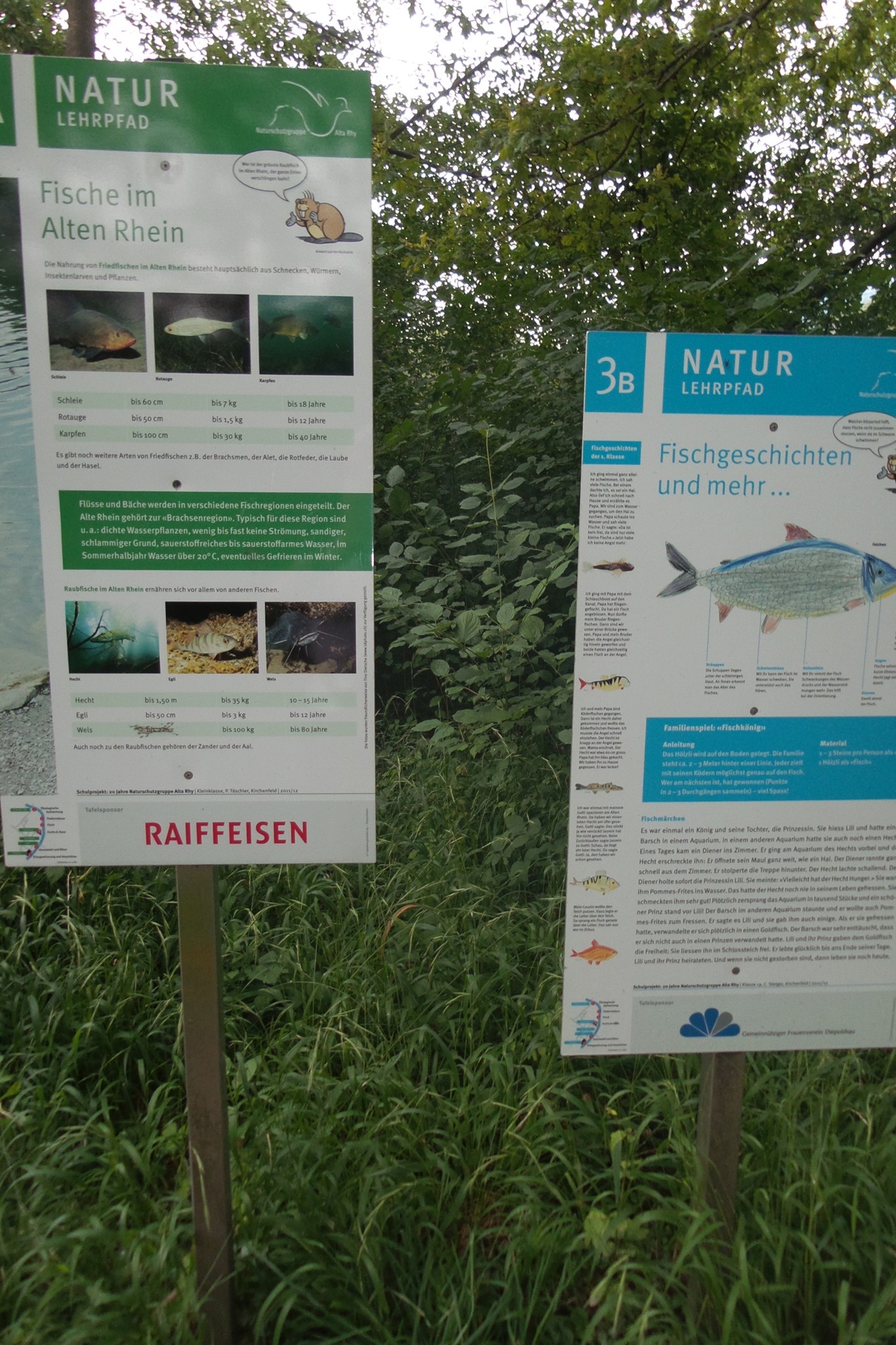 Das Gebiet, ein einmaliges Naturreservat