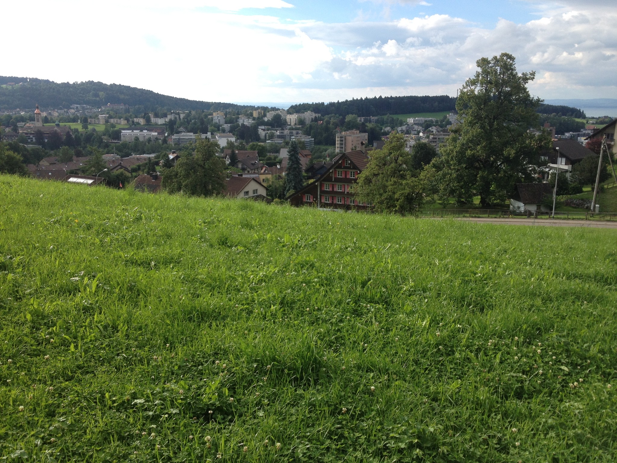 Bereits ein Blick auf die Dächer von St. Gallen