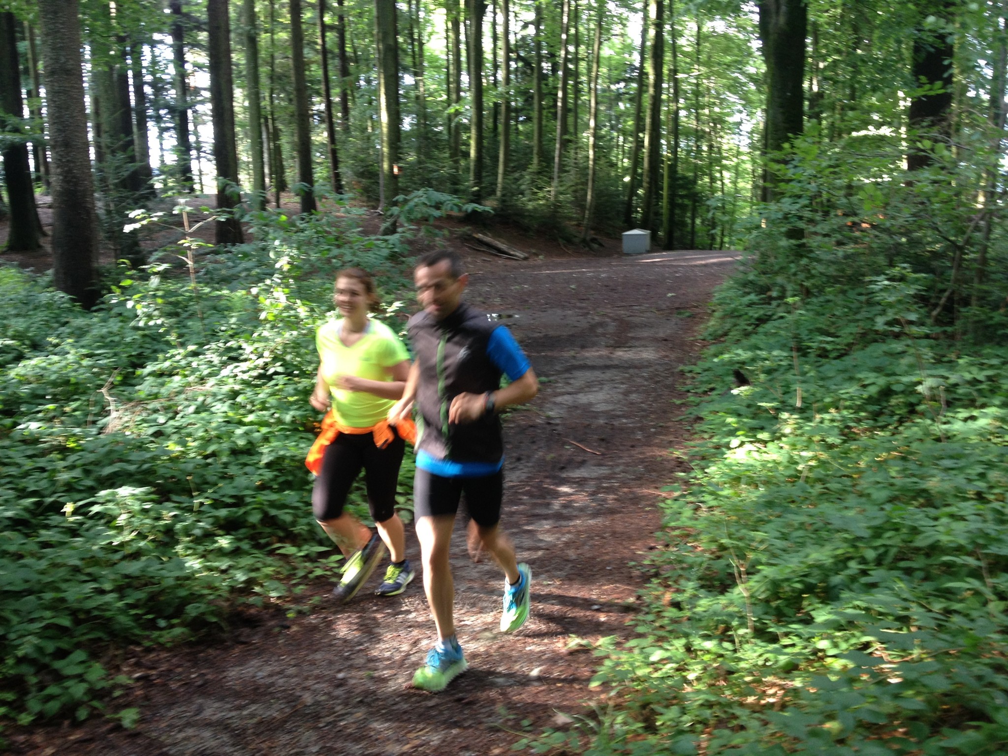 Durch den Hagebuchwald