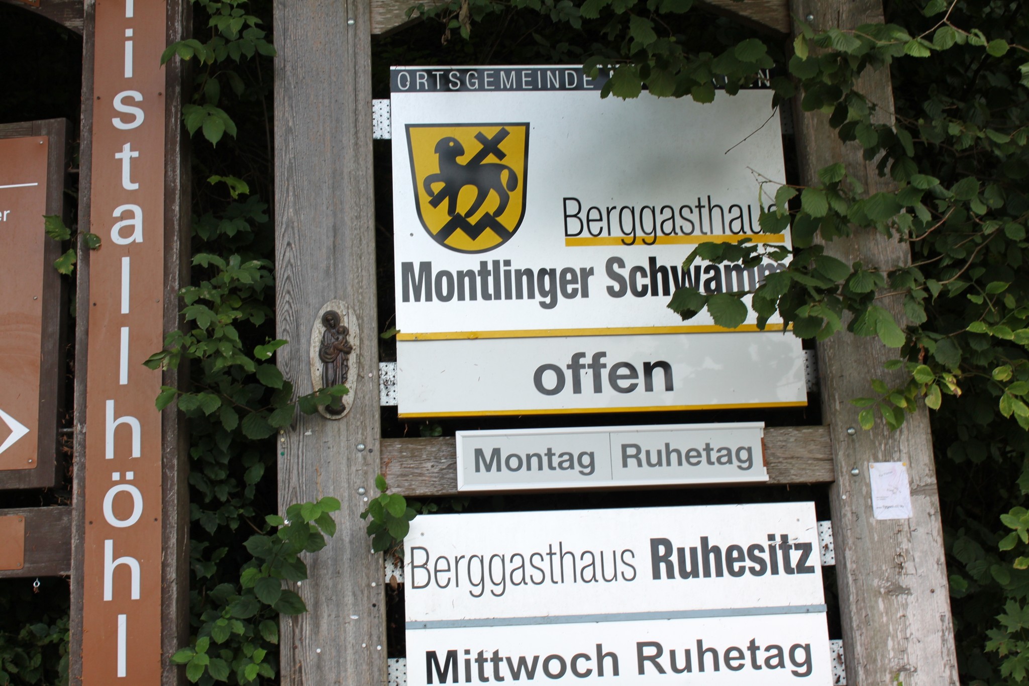 0_NEWS524_1502996655_IMG_9188