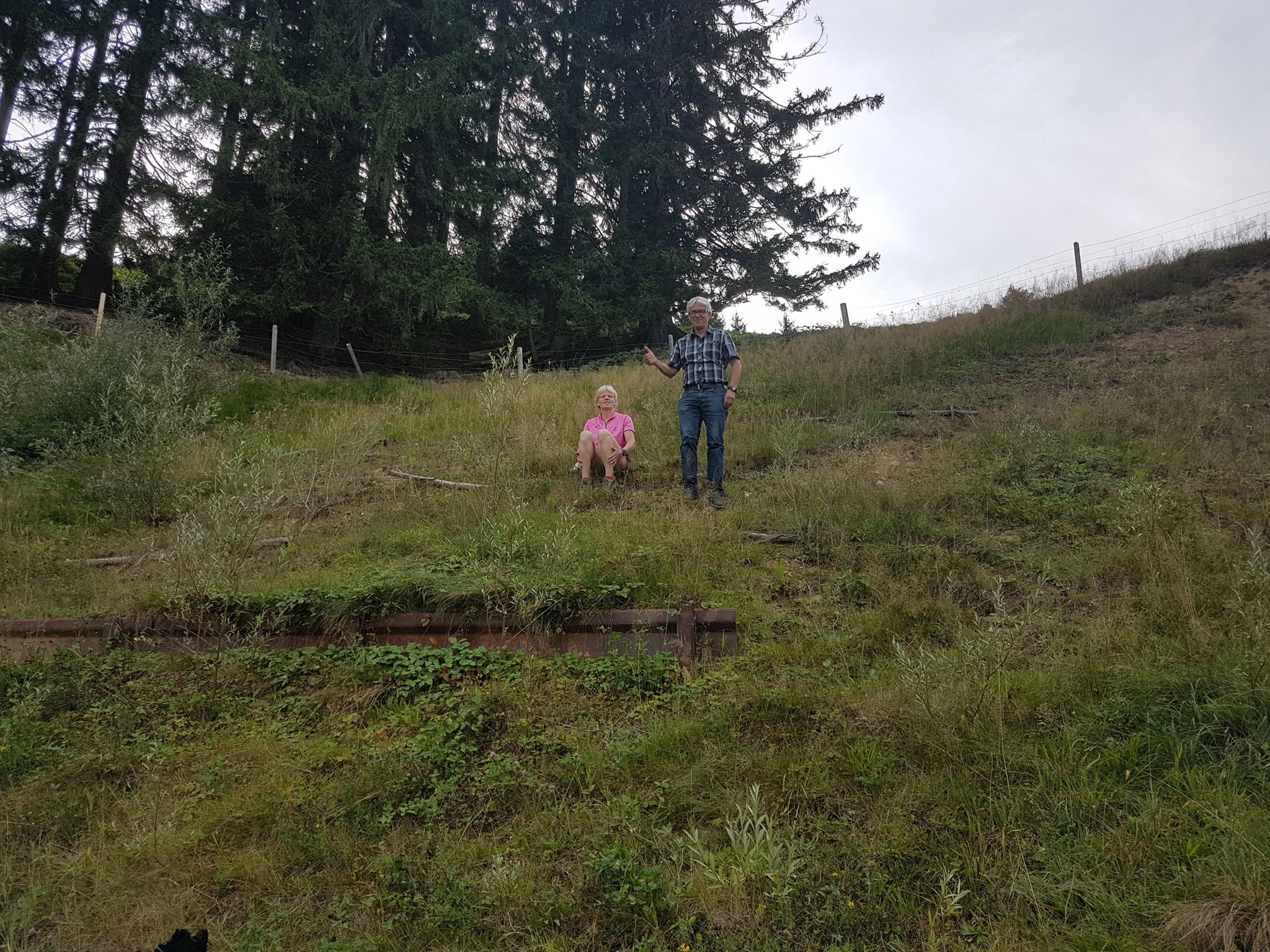 0_NEWS524_1503033205_2017-08-1619.12.12