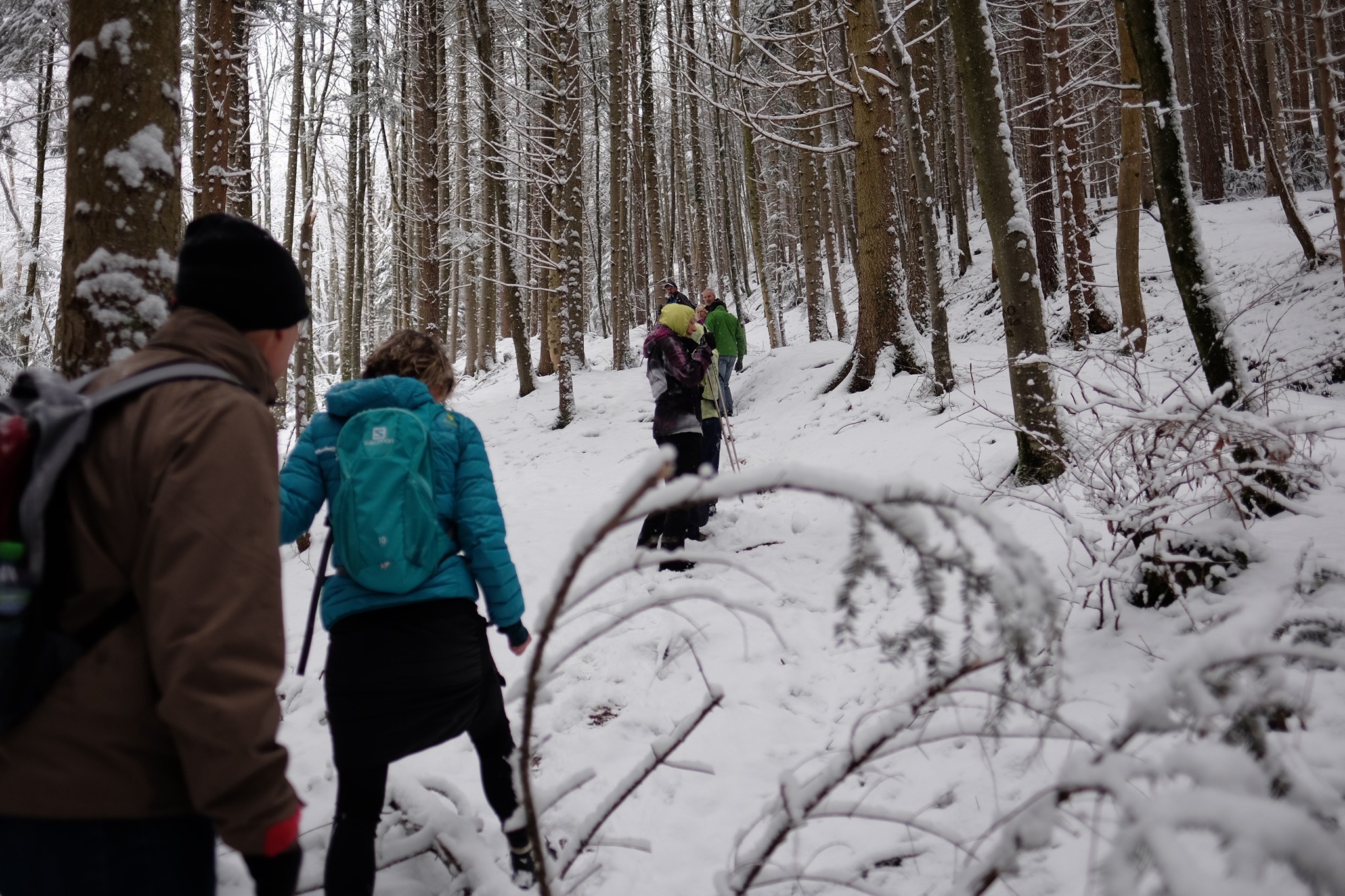 Abenteuerlich durch den Wald.