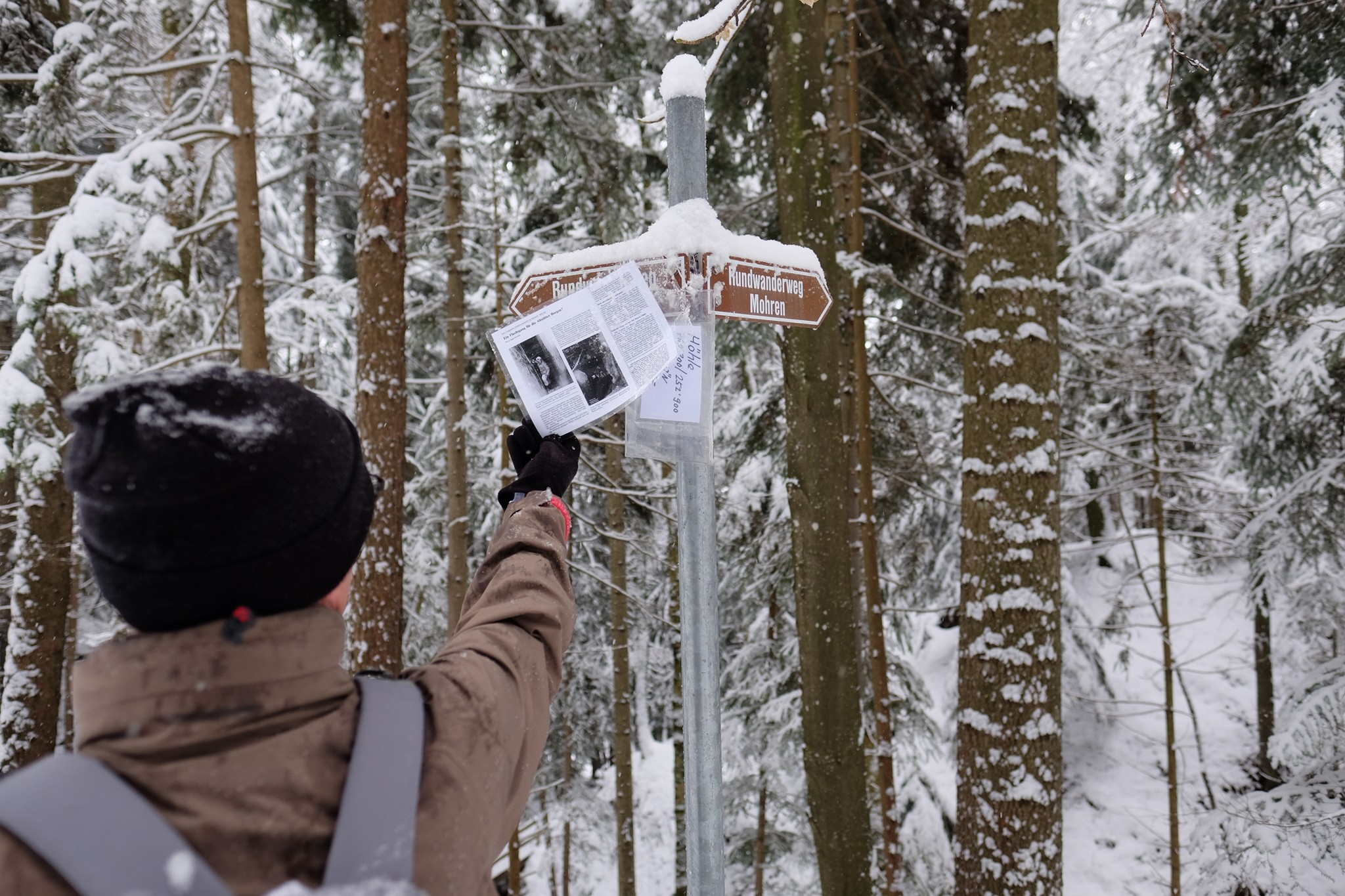 Informationen bei Wegweiser