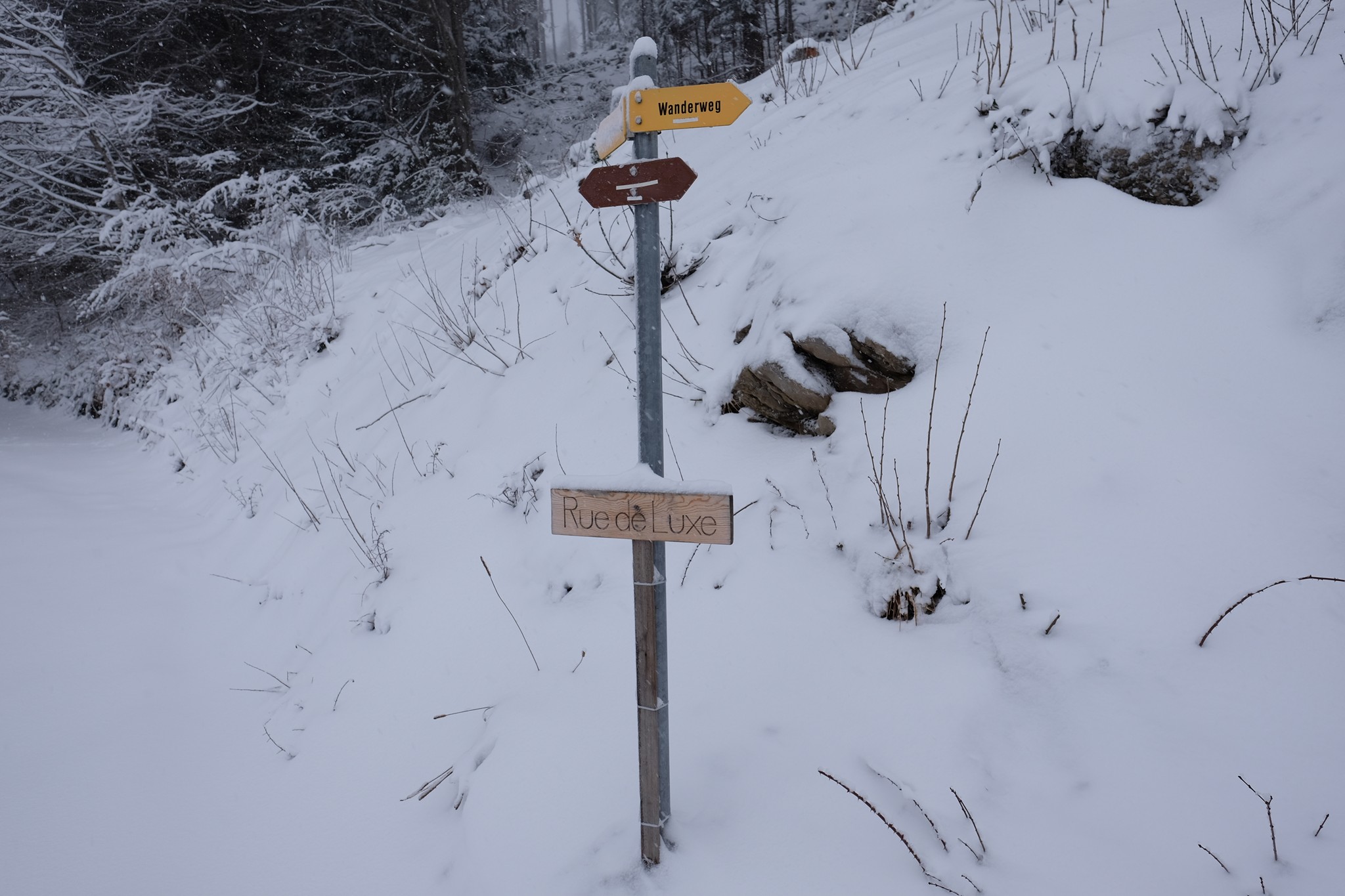 auf diesem Luxusweg.