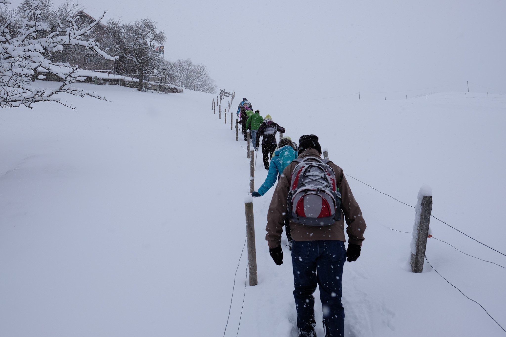 Der letzte Anstieg, die Treppe ins Fegg.