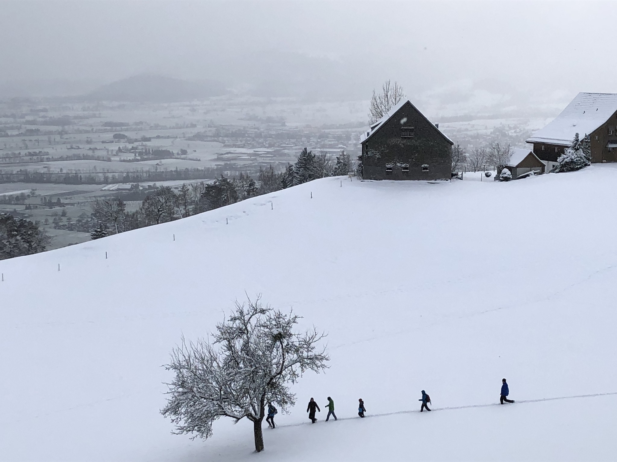 …freiem Blick auf St. Galler Rheintal