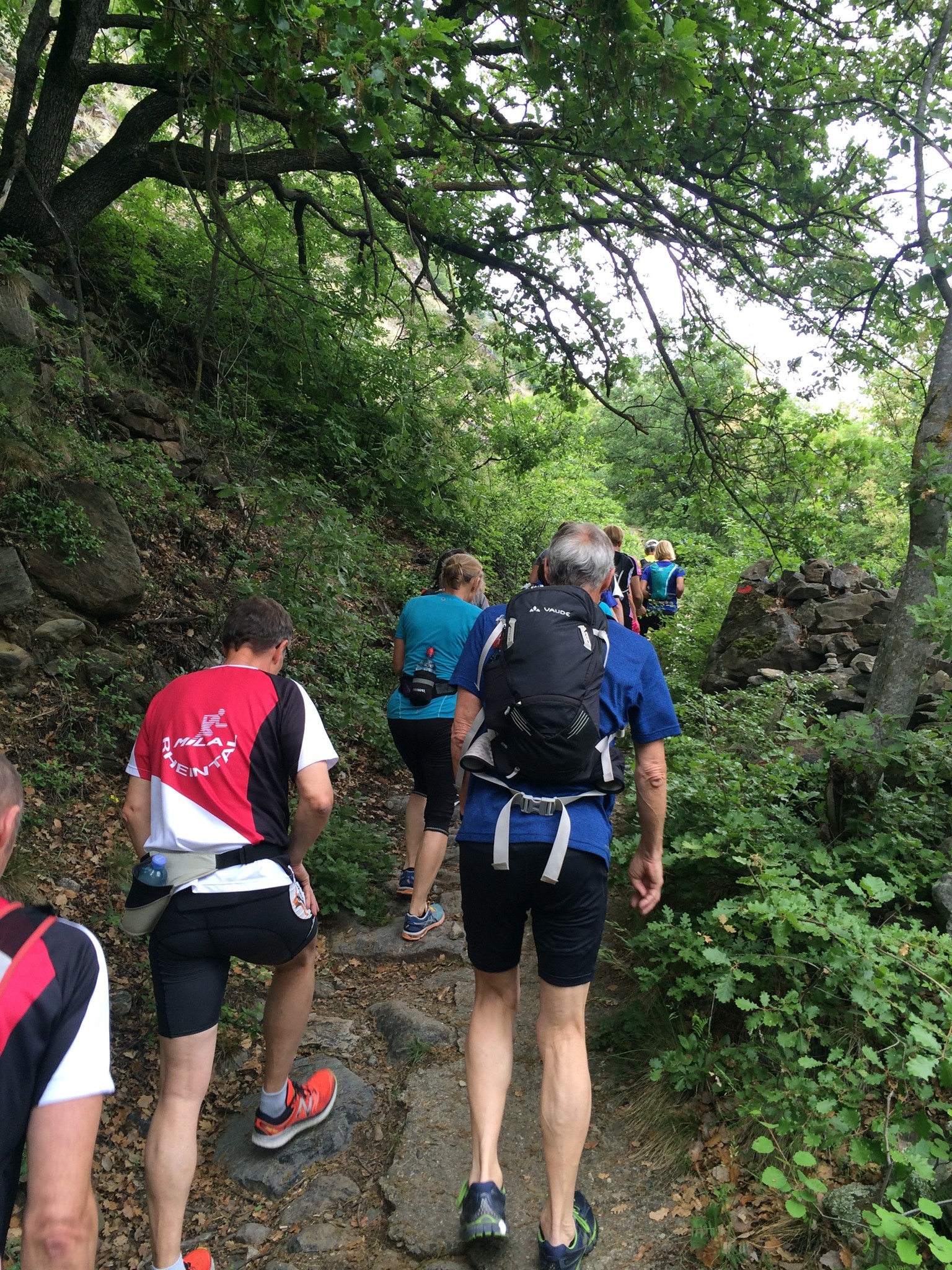 Stoffwechsellauf ab Staben