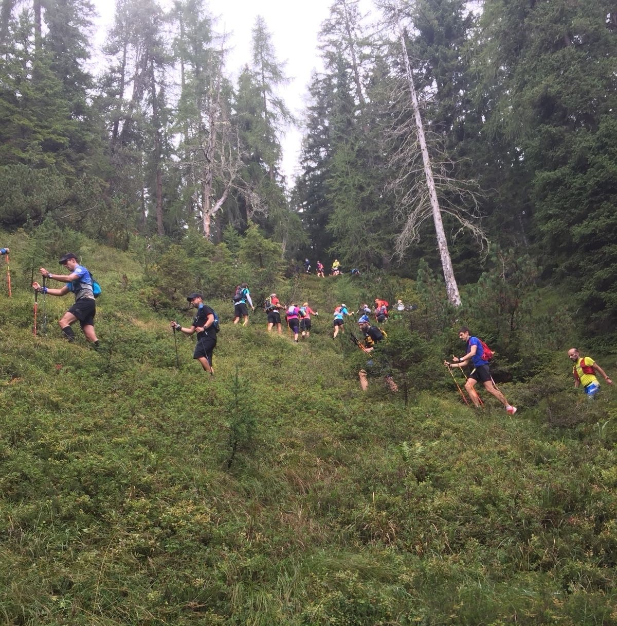 0_NEWS550_1535997624_IMG-20180903-WA00202