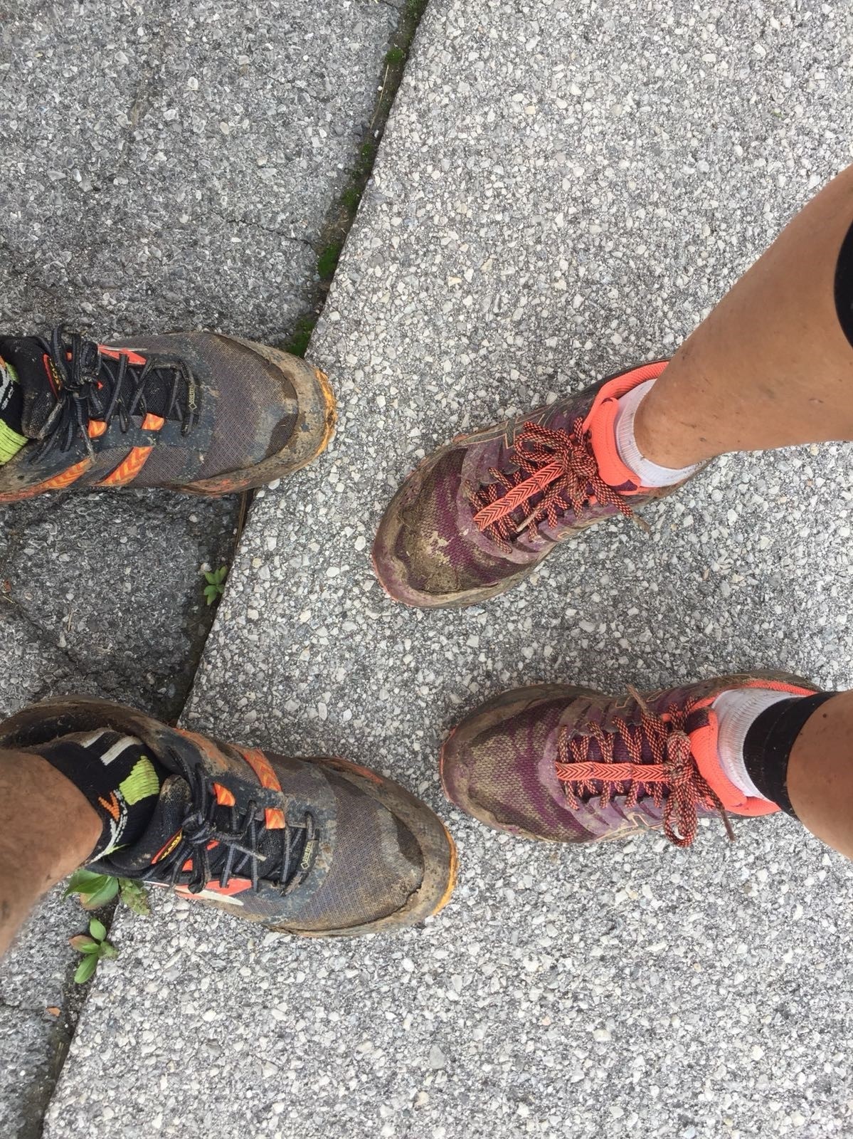 0_NEWS550_1535997658_IMG-20180903-WA00072