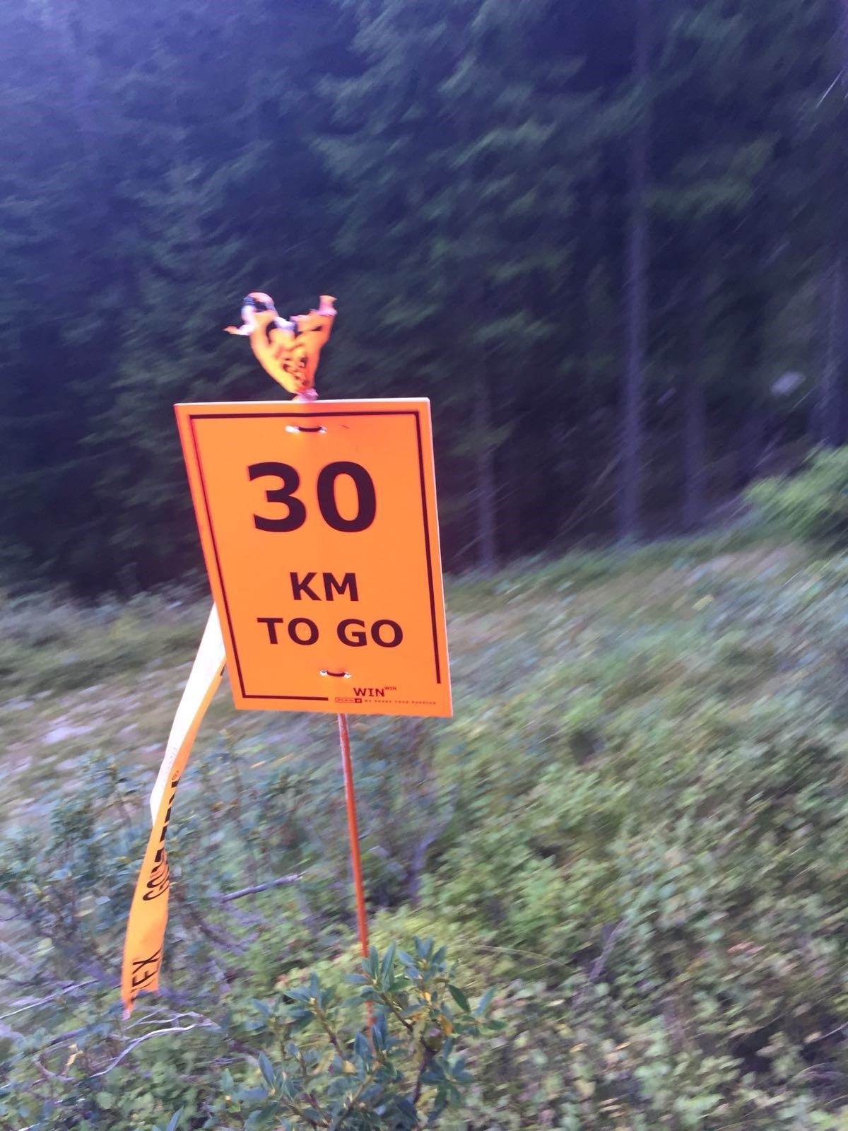 0_NEWS550_1536502776_IMG-20180909-WA0019