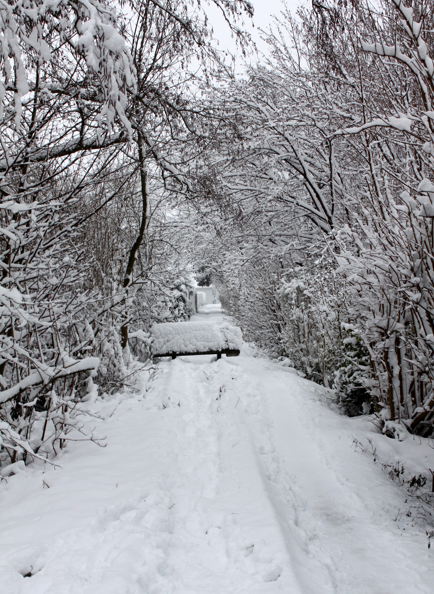 tief verschneite Strecke