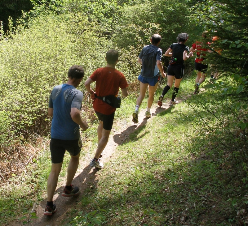 Singletrails durch den Wald