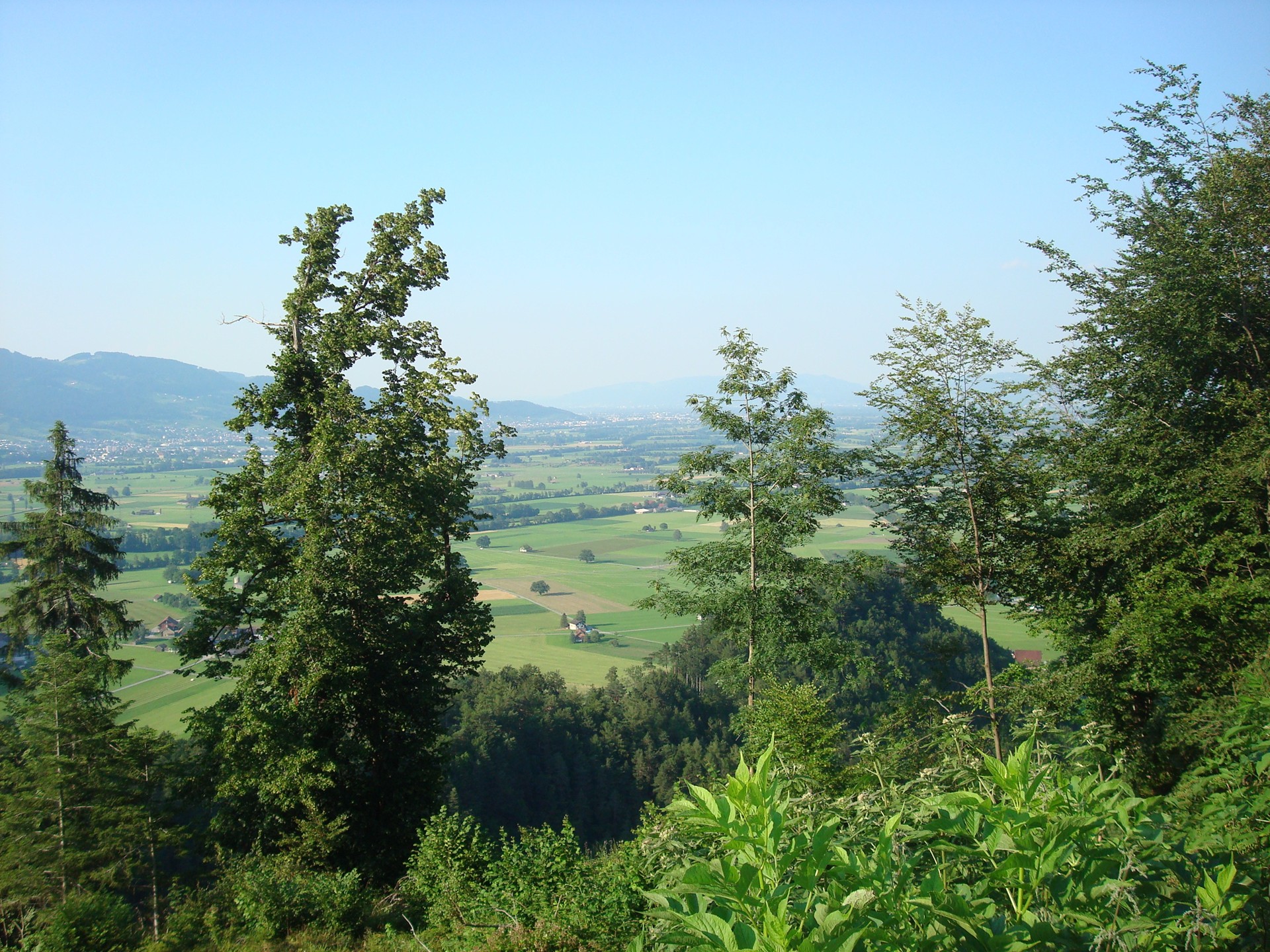 Nach wenigen Minuten auf dem Tanzboden bereits die schöne Sicht aufs Rheintal