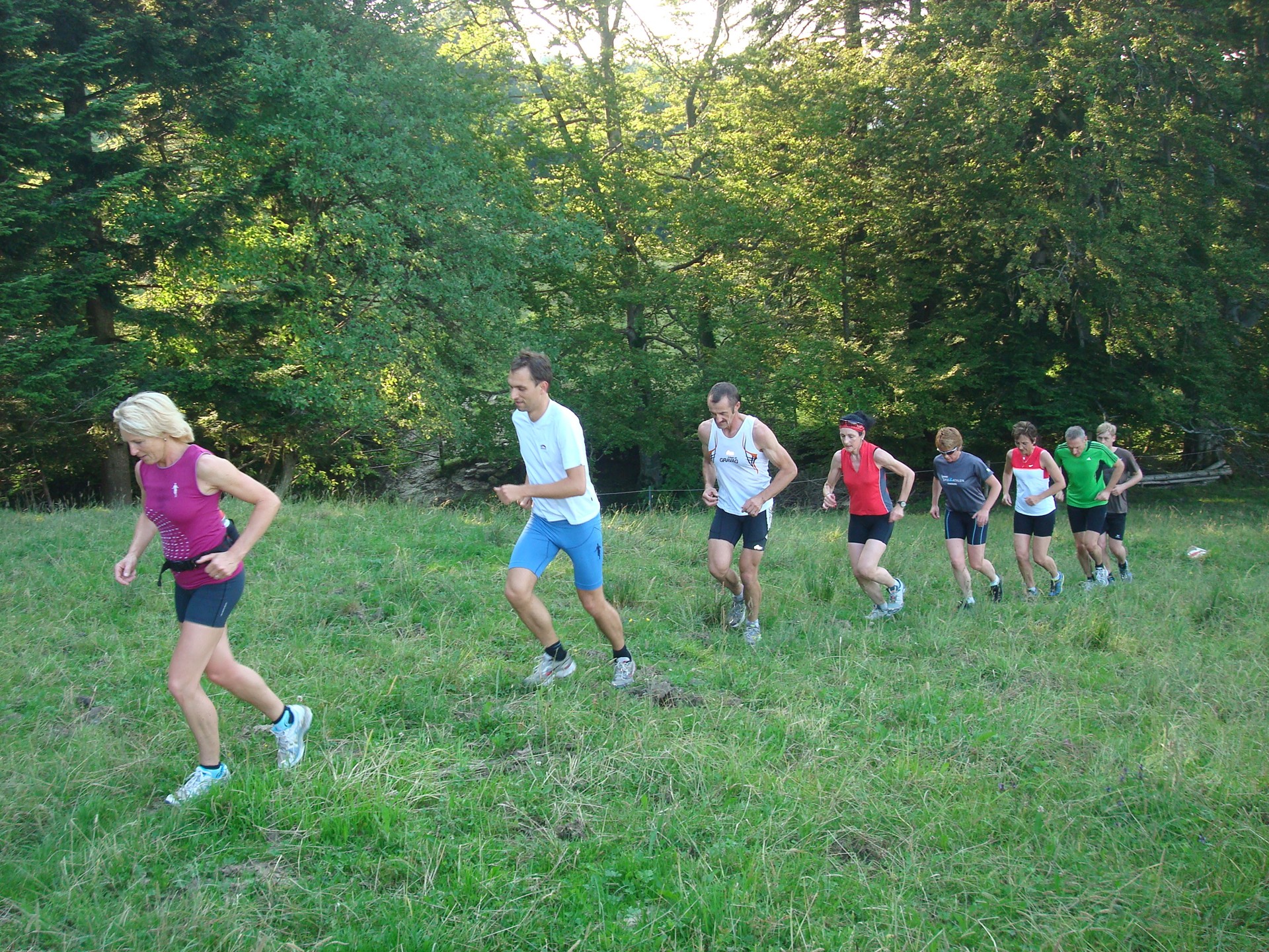 Aufstieg über schöne Alpwiesen