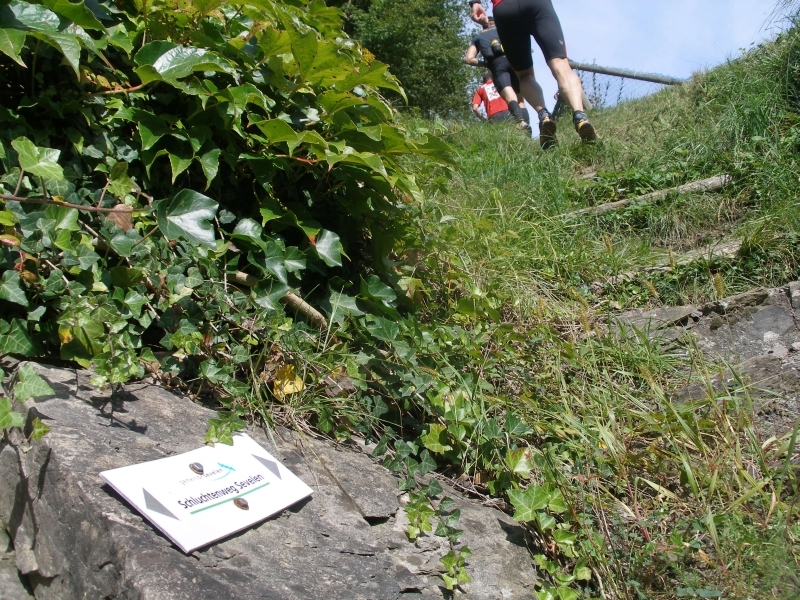 Weiter gehts auf dem Seveler Schluchtenweg