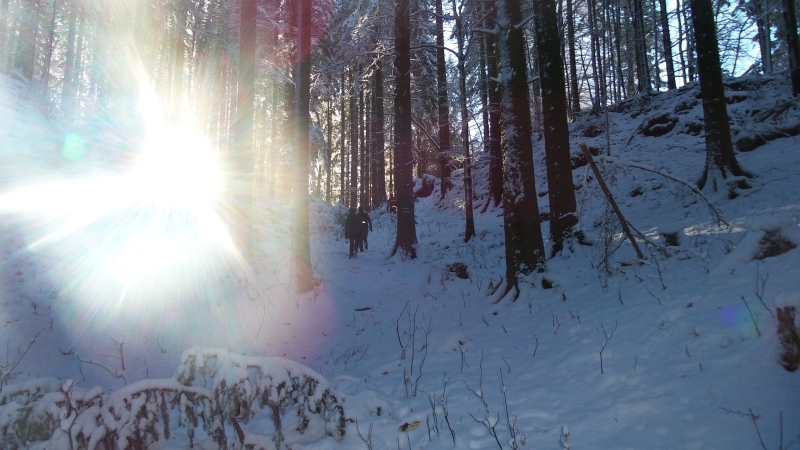 Erste Blendwirkung durch die Sonne