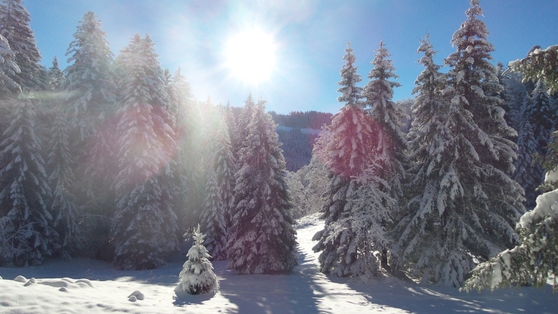 Fantastische Winterlandschaft