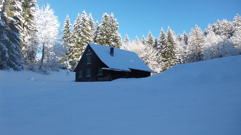 Die Alp Wiesle kurz vor dem höchsten Punkt der Wanderung