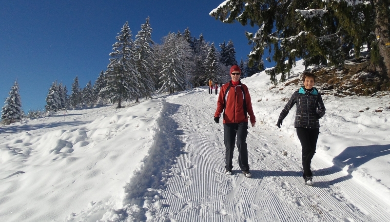 Muntere Schritte dem Ziel entgegen